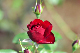 image0347