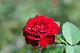 image0348