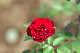 image0349