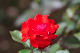 image0356