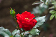 image0357
