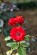 image0358