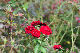 image0360