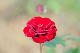 image0362