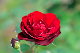 image0363