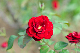 image0364