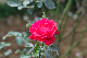 image0367