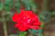 image0369