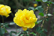 image0371