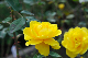 image0372