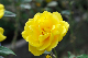 image0373