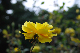 image0374