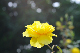 image0375