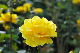 image0376