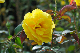 image0377