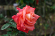 image0378