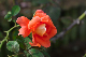 image0379