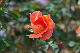image0380
