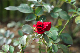 image0382
