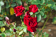 image0384