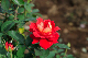 image0386