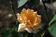 image0387