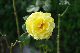 image0388