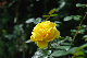 image0389