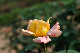 image0390