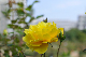 image0394