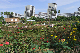 image0395