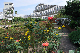 image0396