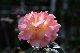 image0400