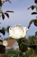 image0402