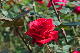 image0403