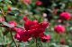 image0404