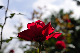 image0405