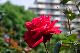 image0406