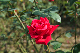 image0407