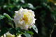 image0410