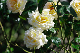 image0411