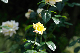 image0412