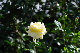 image0413