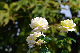 image0414