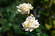 image0416