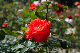 image0417
