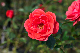 image0418