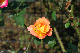 image0420