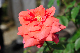 image0424