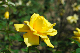 image0433